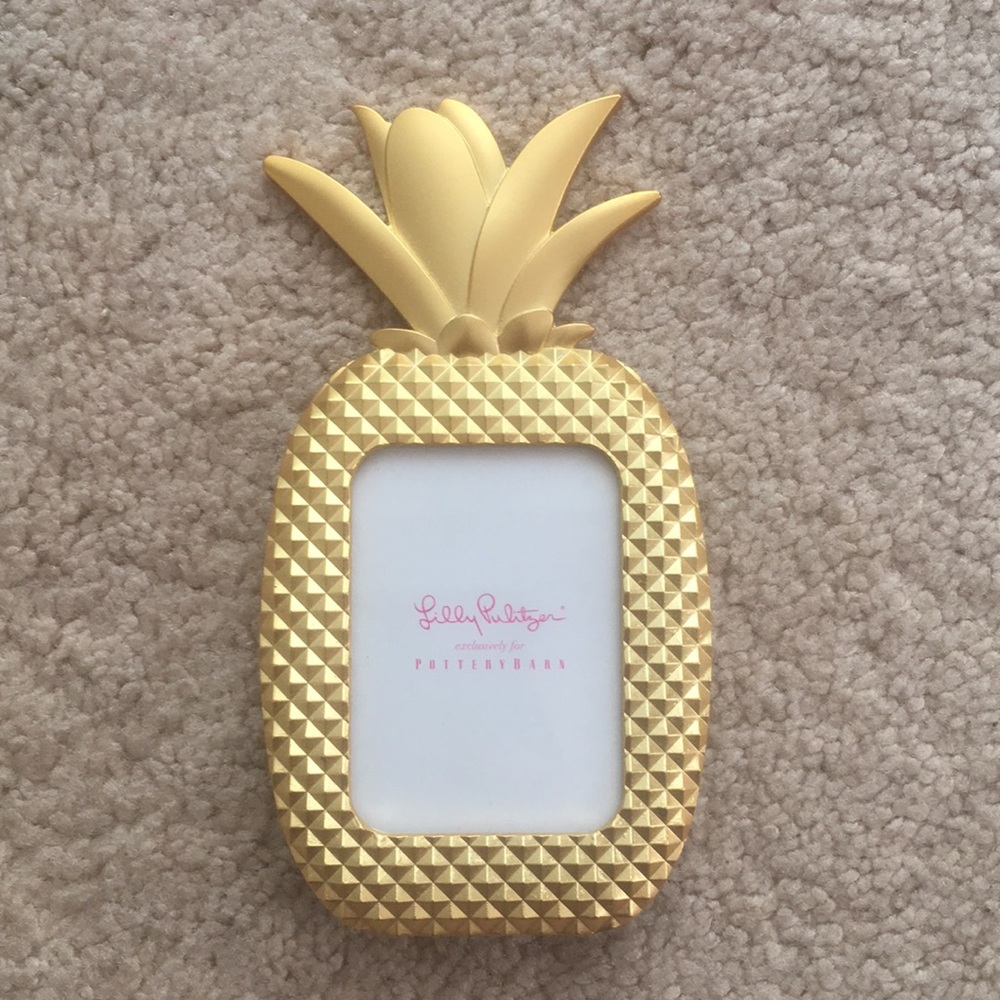🍍 Lily Pulitzer Pineapple Frame